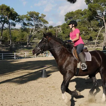 וילה 4 Bedroom Lofou With Private Pool And Sea Views, Aphrodite Hills קוקליה